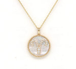 14K Gold White Mother of Pearl & Diamond Aries Zodiac Medallion Medallion ALP-227Y-ARI.WM  - Abtin & Co.