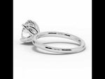 Oval Lustre Solitaire White Gold
