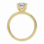 Raidiant Lustre Solitaire Ring ABER-100-RA-LGD-1  - Abtin & Co.